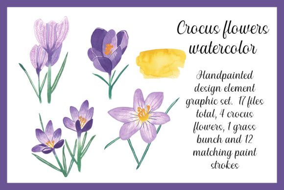 Handpainted Crocus Watercolor Elements