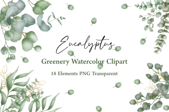 Watercolor Eucalyptus Greenery Clipart for Fresh Designs